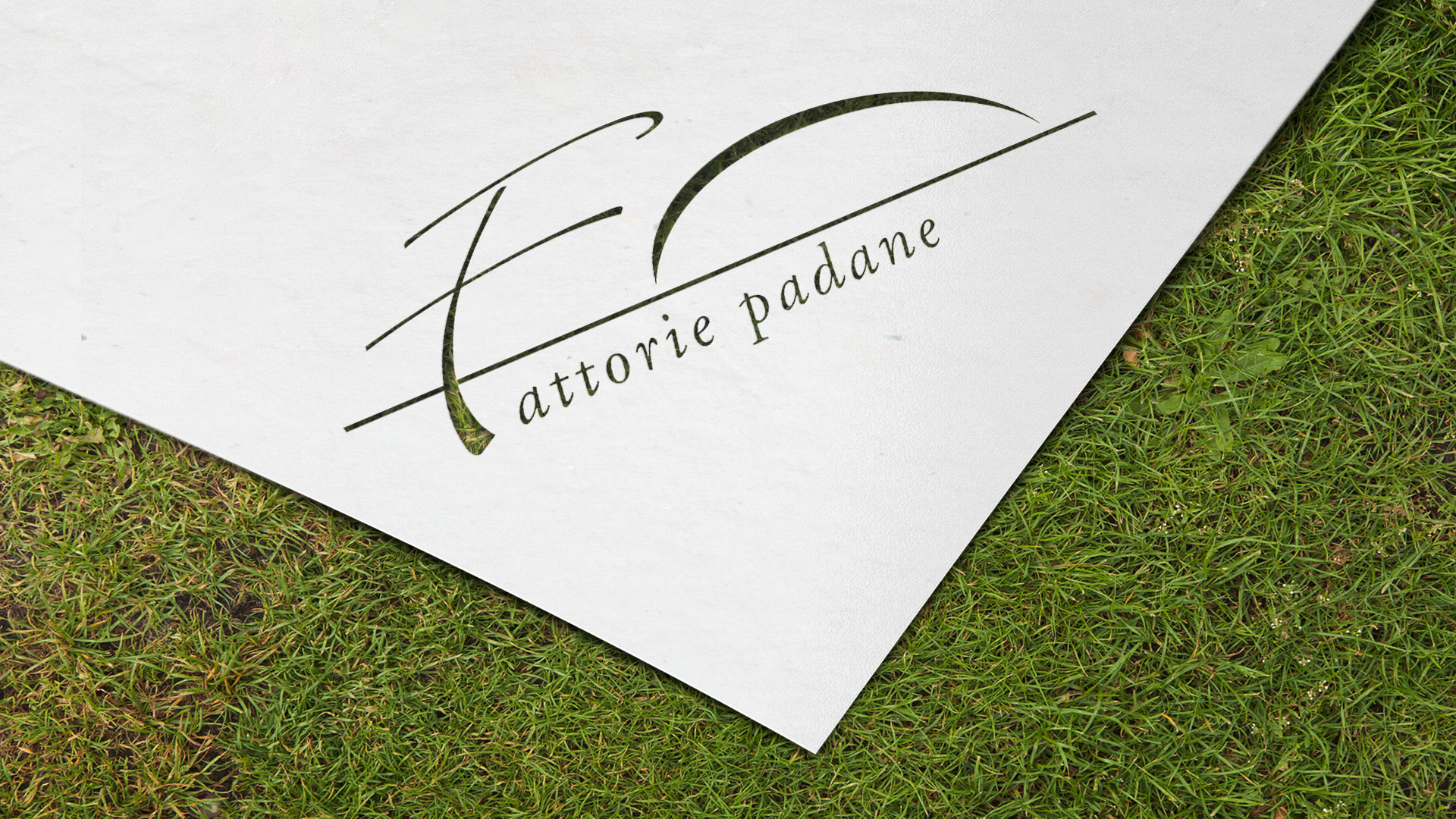 fattorie padane.Marketing e strategie di comunicazione su misura per affermare il tuo brand.